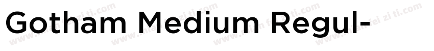 Gotham Medium Regul字体转换